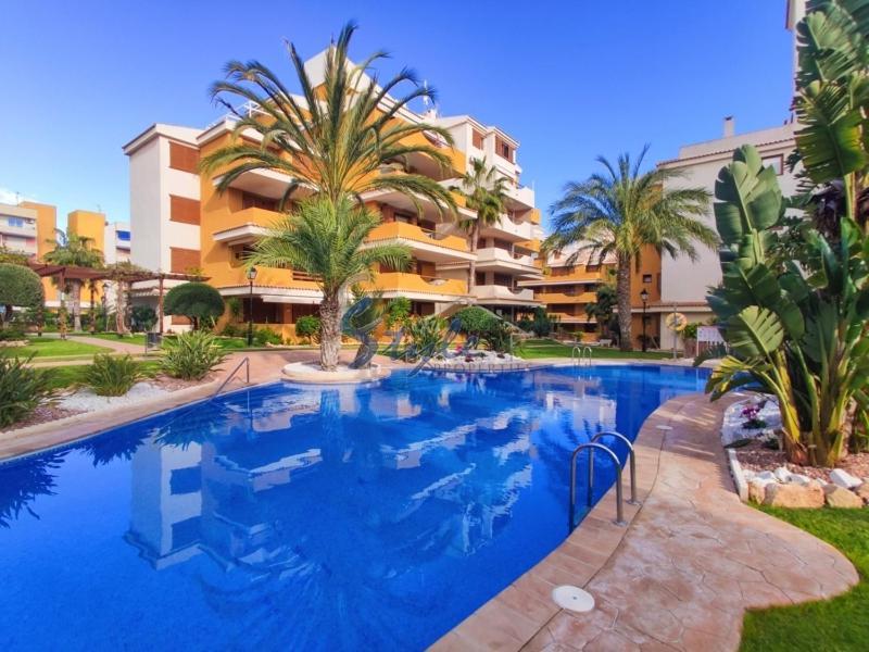Punta Prima Nice Apartment With Sea Views تورّيفيِخا المظهر الخارجي الصورة