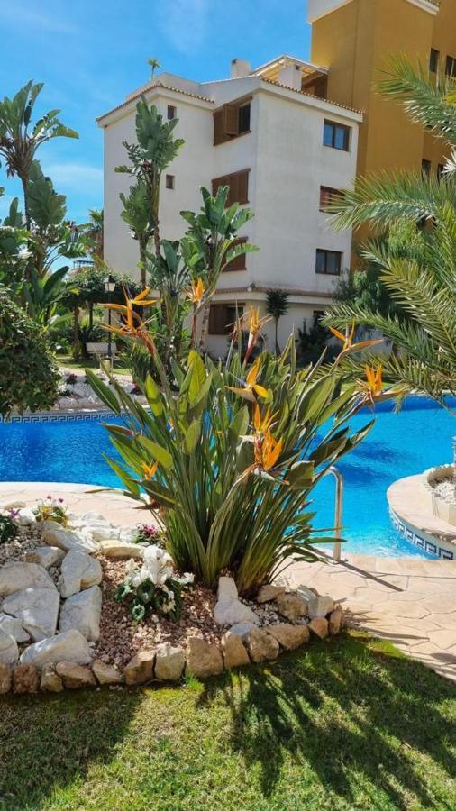 Punta Prima Nice Apartment With Sea Views تورّيفيِخا المظهر الخارجي الصورة